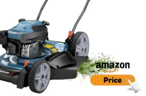 Gas Mowers Review