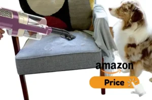 Is Dyson Corded Vacuum Review Good