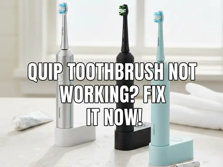Quip Toothbrush