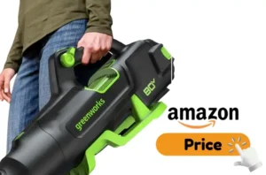 Greenworks 80V Review