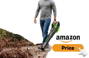 Is Greenworks 80V Good