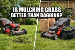 Is Mulching Grass Better than Bagging