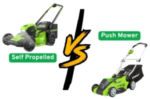 Self Propelled vs Push Mower