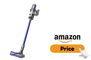 Dyson V11