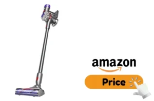 Dyson V8