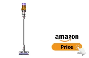 Dyson V12