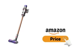 Dyson v10