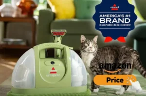Bissell Little Green Review